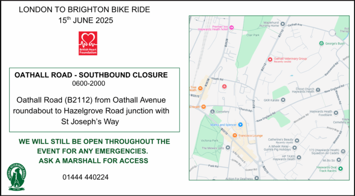 London to Brighton Bike Ride