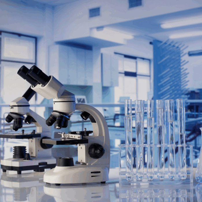 Canine Brucellosis and The Need for Testing